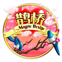 阿达拉比奥尤：帕尔默是绝对的顶级球员；重回欧冠感觉非常棒